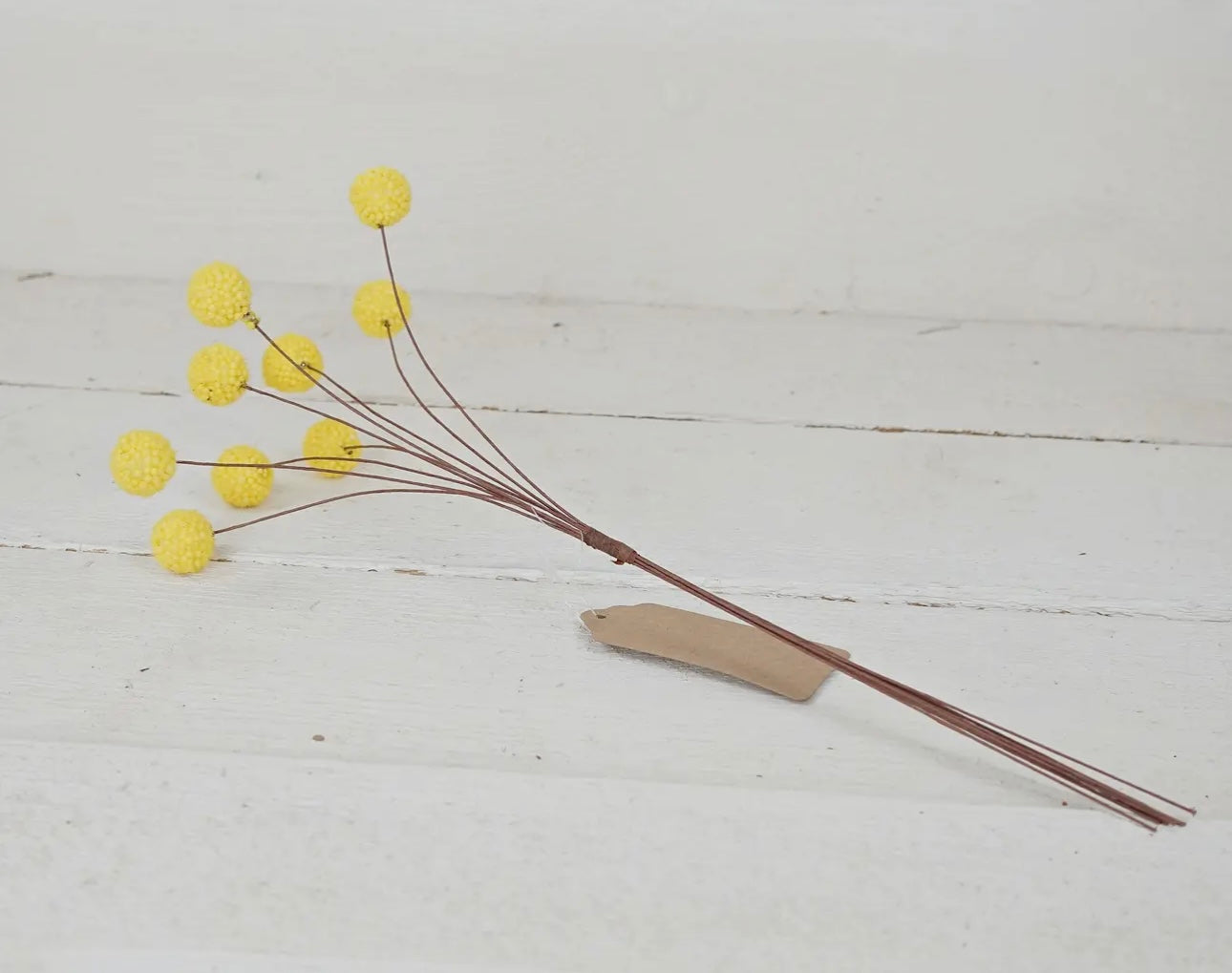 Summer Dough Bowl Kit with Lemons
