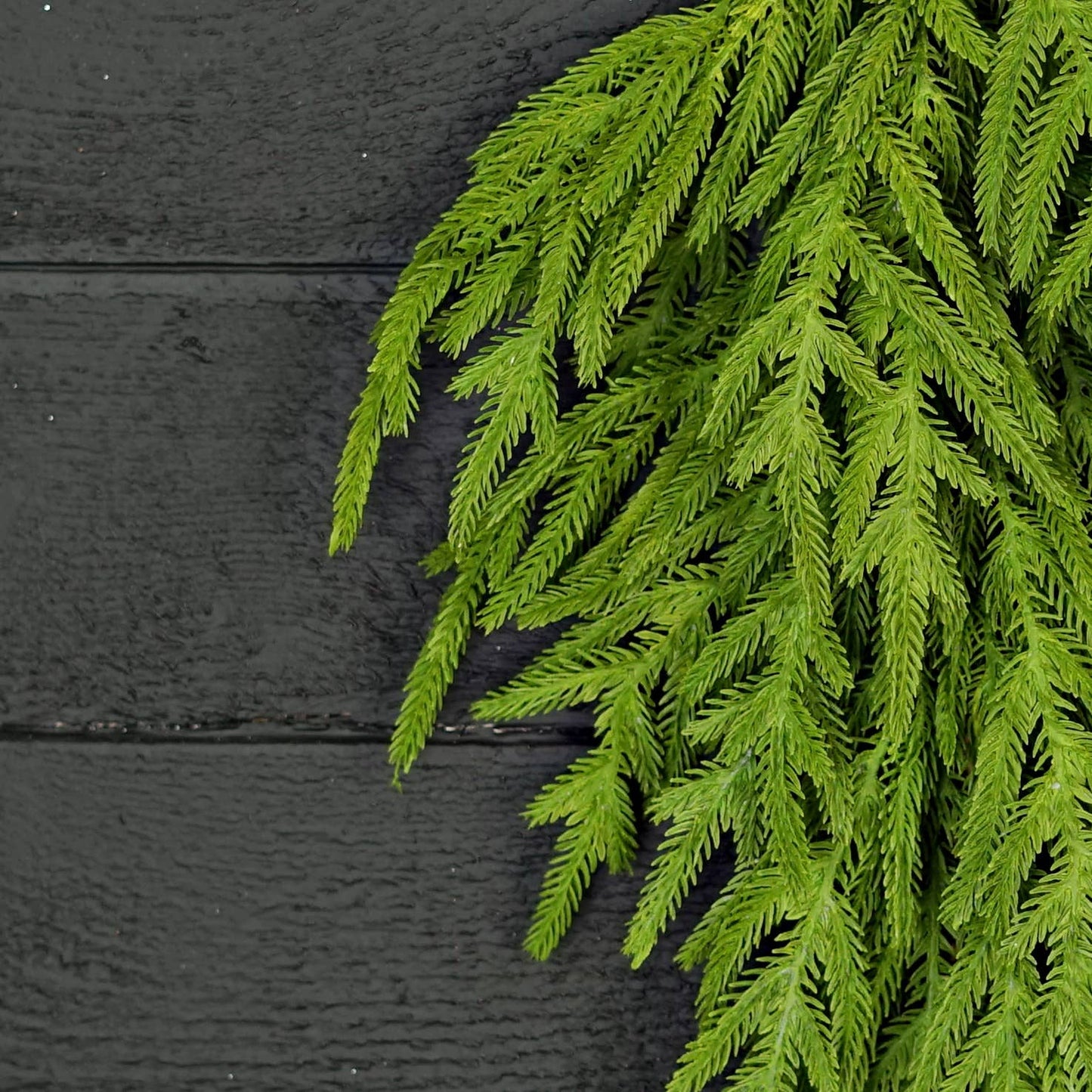 510709- 30inLx14inW Teardrop-Soft Touch Evergreen Norfolk Pi