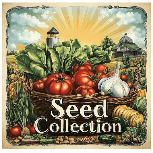 Vintage Seed Packet